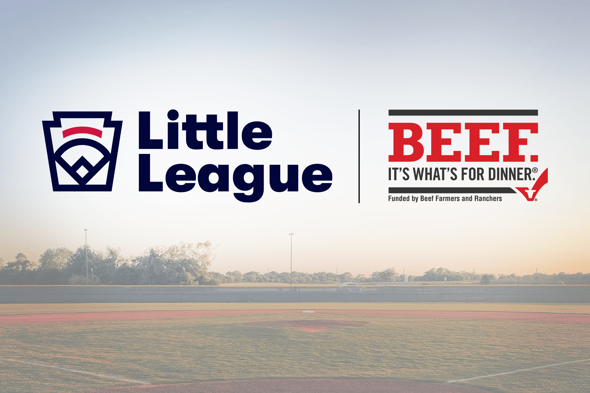 BEEF New Partner Graphic